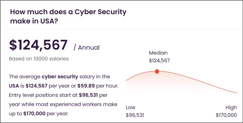 cyber security salary in USA